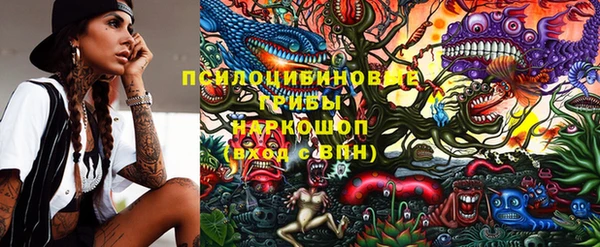 скорость Козловка